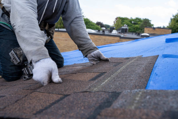 Roof Installation Near Me in Riverton, IL