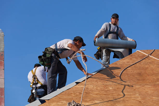 Best Commercial Roofing Services  in Riverton, IL