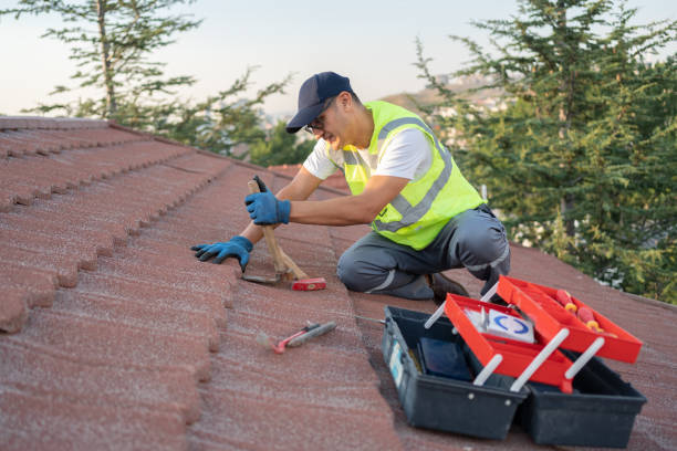 Best Flat Roof Repair Services  in Riverton, IL